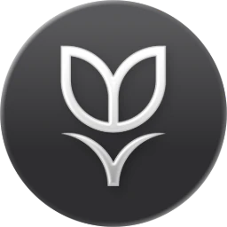 Tulipa Capital